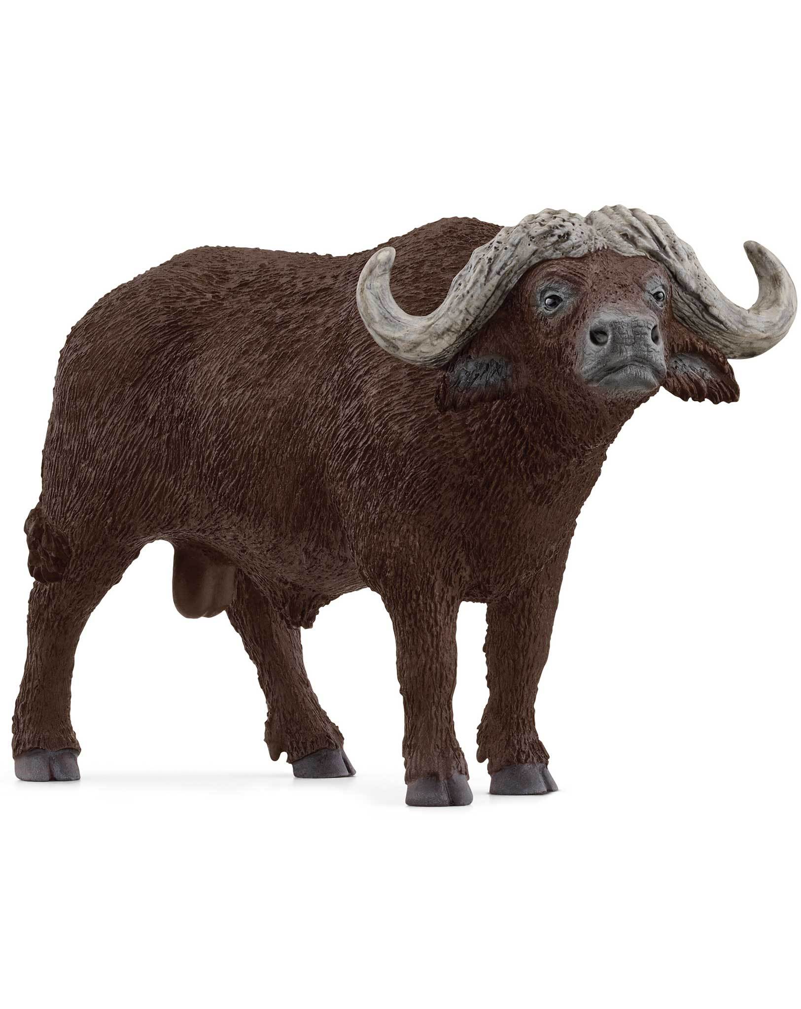 schleich® 14872 Wild Life - Kaffernbüffel