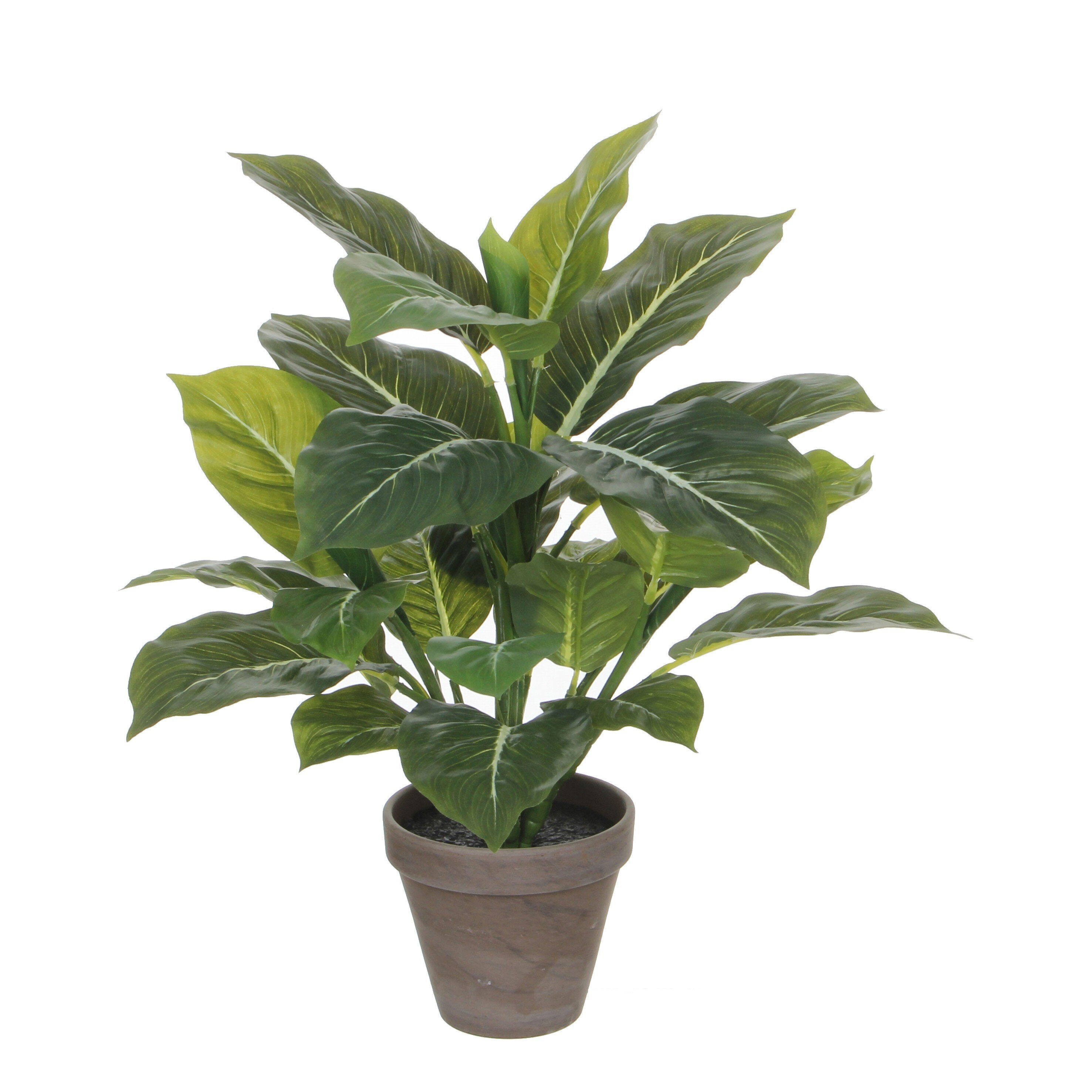 Mica Decorations Evergreen in pot Stan grijs d13,5cm - h49xd40cm