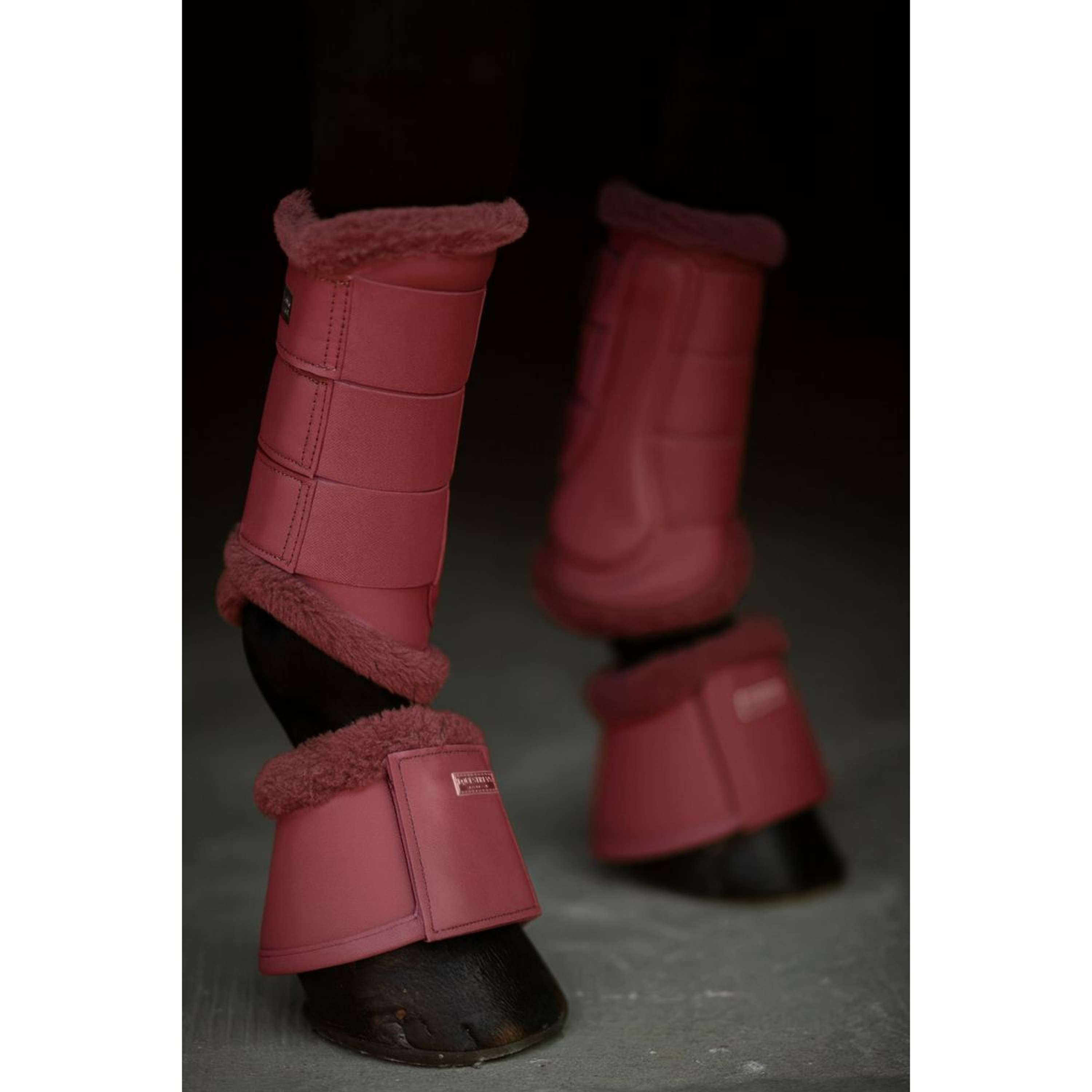Equestrian Stockholm Beenbeschermers Amber Rose