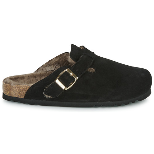 Scholl - FAE Negro