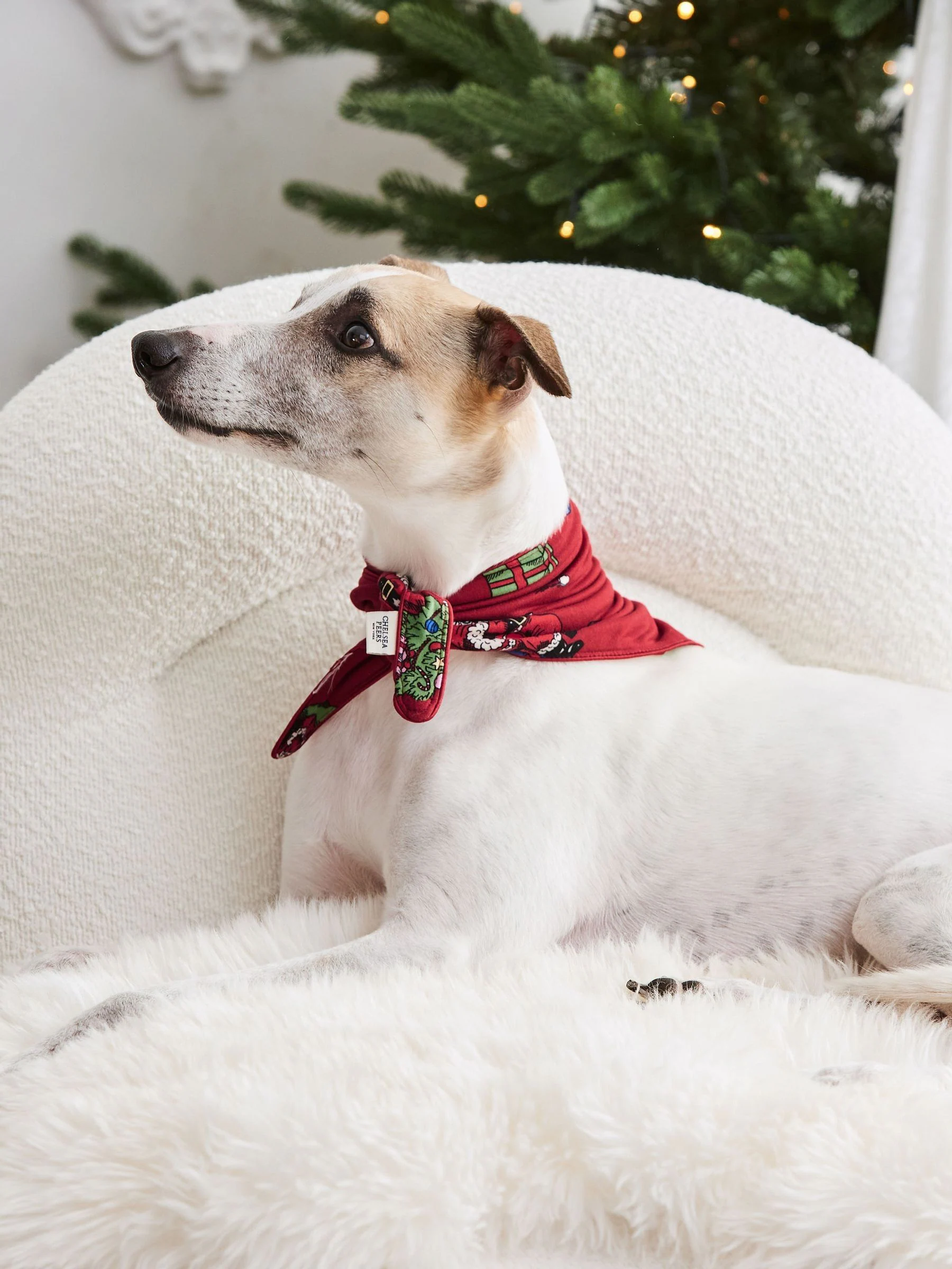 Chelsea Peers Pets Christmas Santa Snowball Print Neckerchief