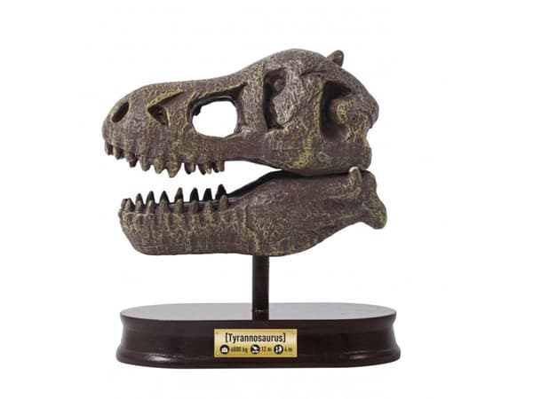 Buki Museum Dino Skull Tyrannosaurus, Eksperiment sett, Paleontology, 8 år, Flerfarget