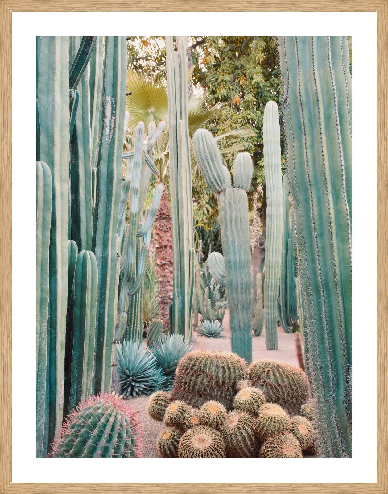 Jardin Majorelle IV by Simon Watson - Limited Edition. Edition of: 150. Signed.