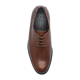 kevin  HOPPER 32658  DARK BROWN