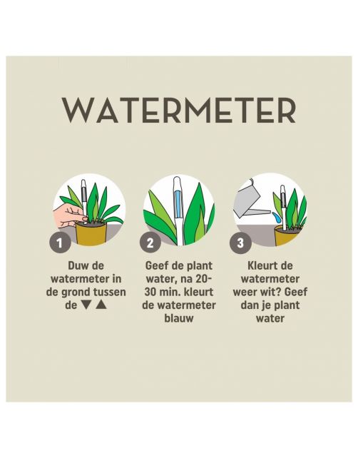 Pokon Watermeter - Gewasbescherming - 1 stuk