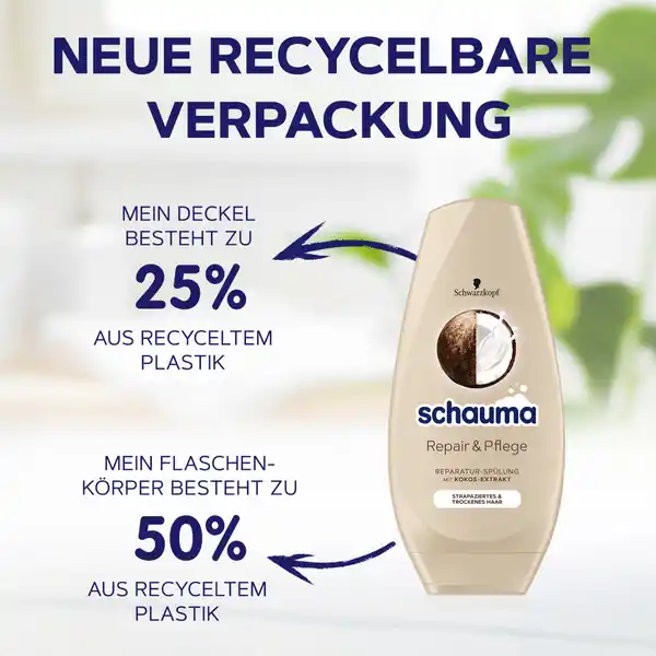 Repair & Pflege Spülung