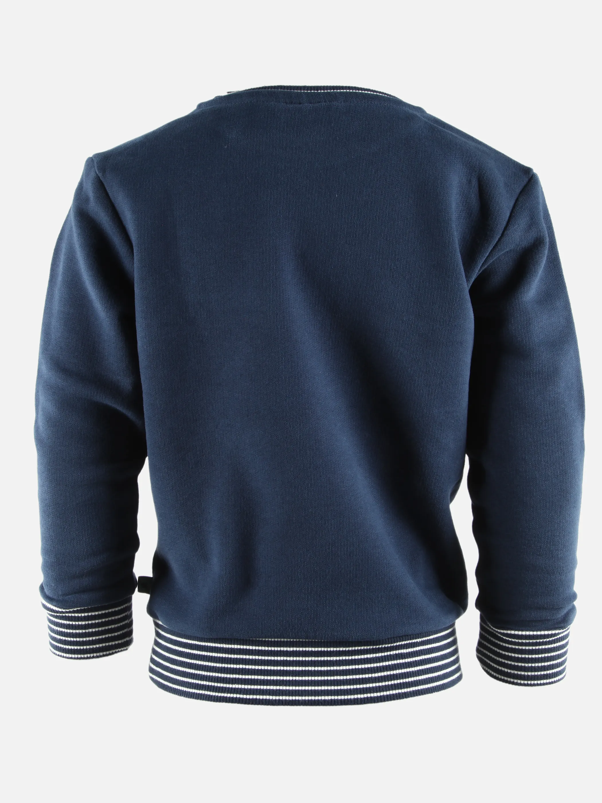Jungen Sweatshirt mit Dino-Rubberprint