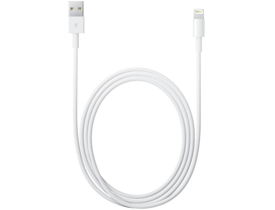 APPLE - Câble Lightning Câble USB Lightning (2m) - MD819ZM/A