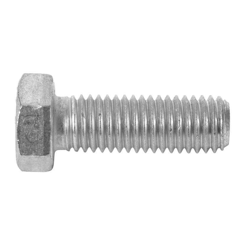 Bolter 6-pk