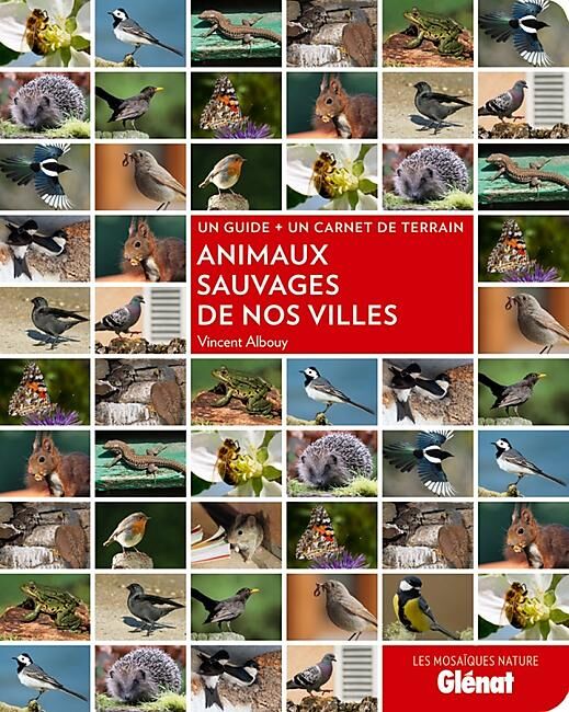 GLENAT - ANIMAUX SAUVAGES DE NOS VILLES