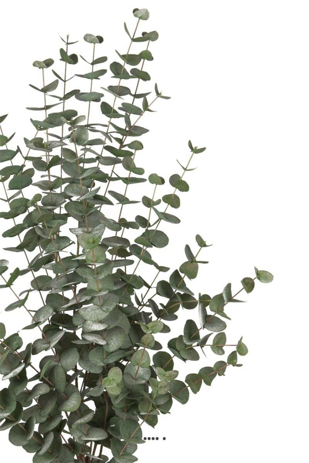 Eucalyptus cinerea artificiel en pot h 110 cm, d 70 cm - choisissez votre hauteu