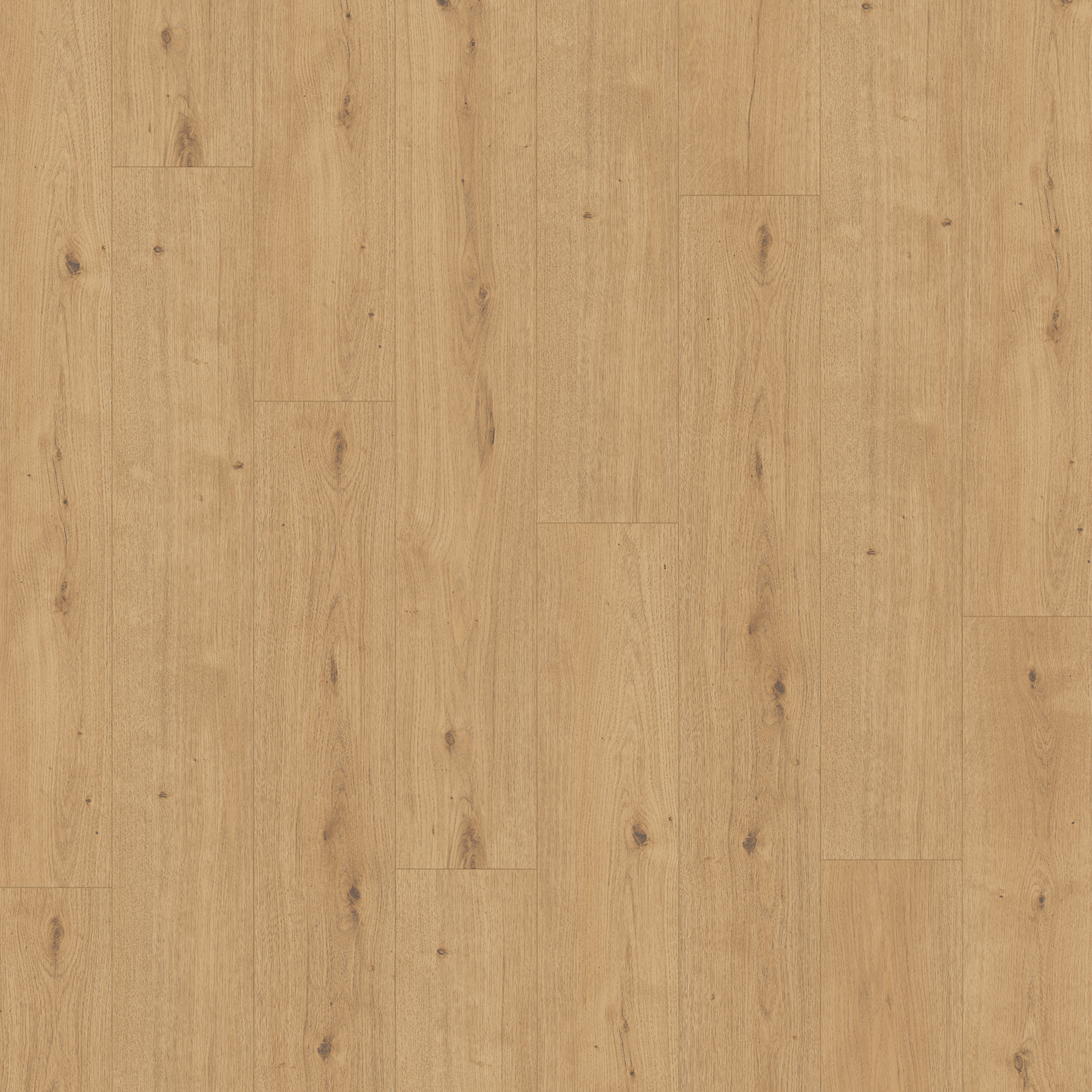 PARADOR Designboden MODULAR ONE - Eiche Atmosphere natur - 8 mm