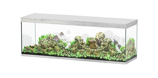 Aquatlantis Sublime 200x60 aquarium | Gloednieuw
