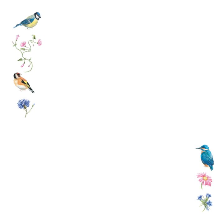 Janneke Brinkman | Beterschapskaart | Vogels, bloemen en vlinders