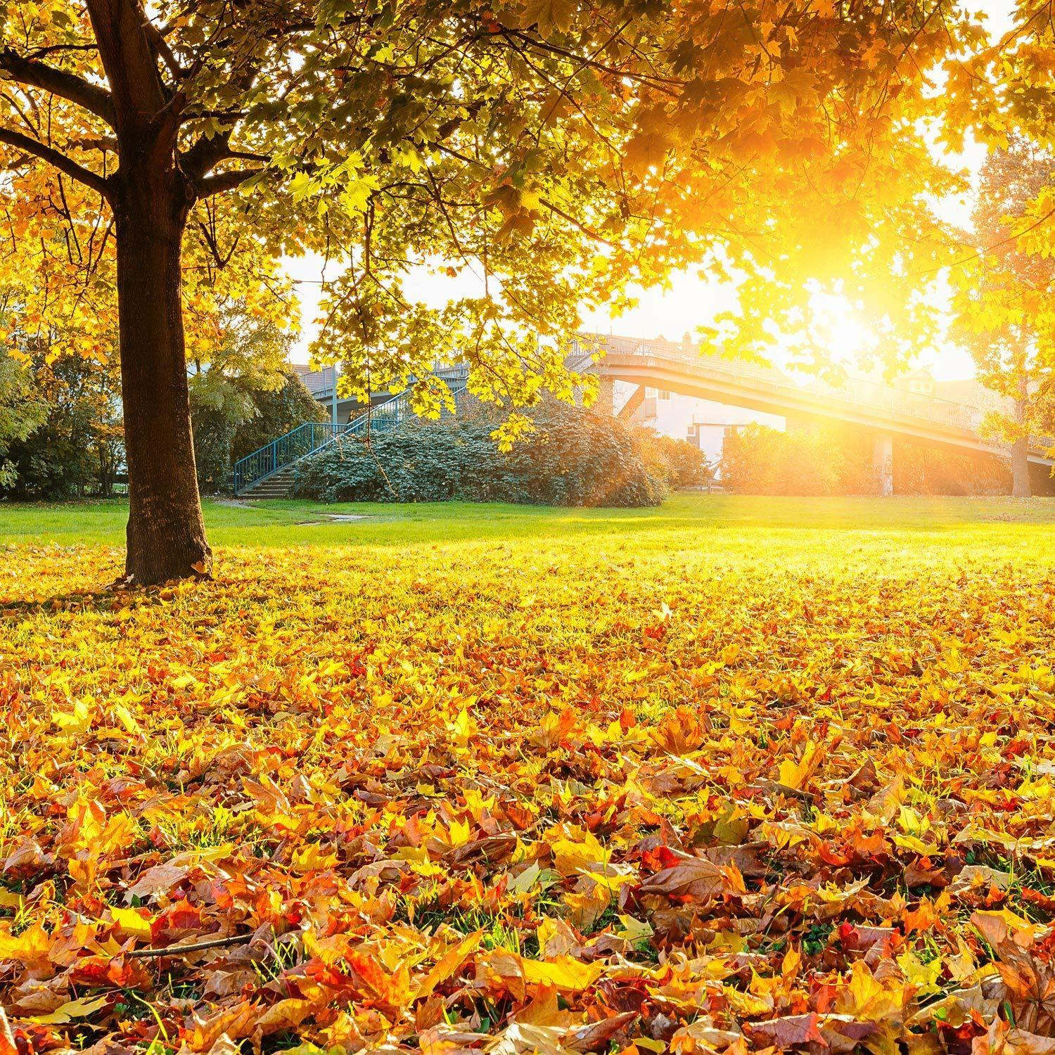 (100er Set) Ahorn Blätter Tischdekoration Herbst Laub Deko - Rot / Orange