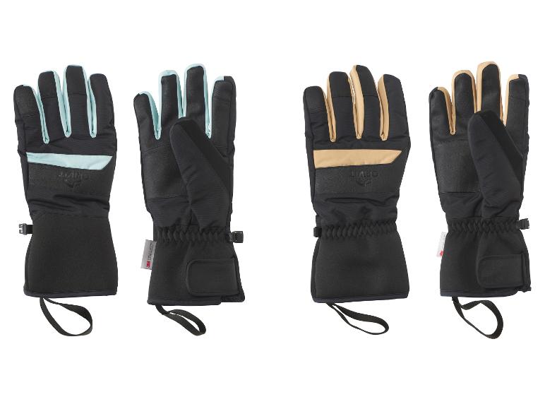 Skihandschoenen Premium