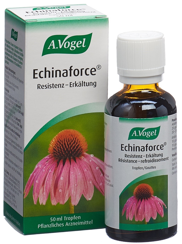 VOGEL Echinaforce Resistenz Erkältung Tropfen Fl 50 ml