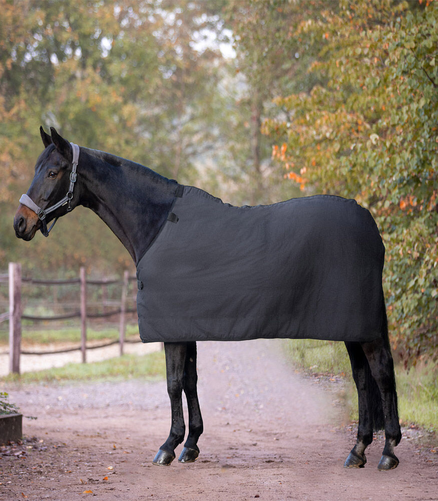 Waldhausen Economic Fleece - Staldeken - Paardendeken - Zwart - 115/165