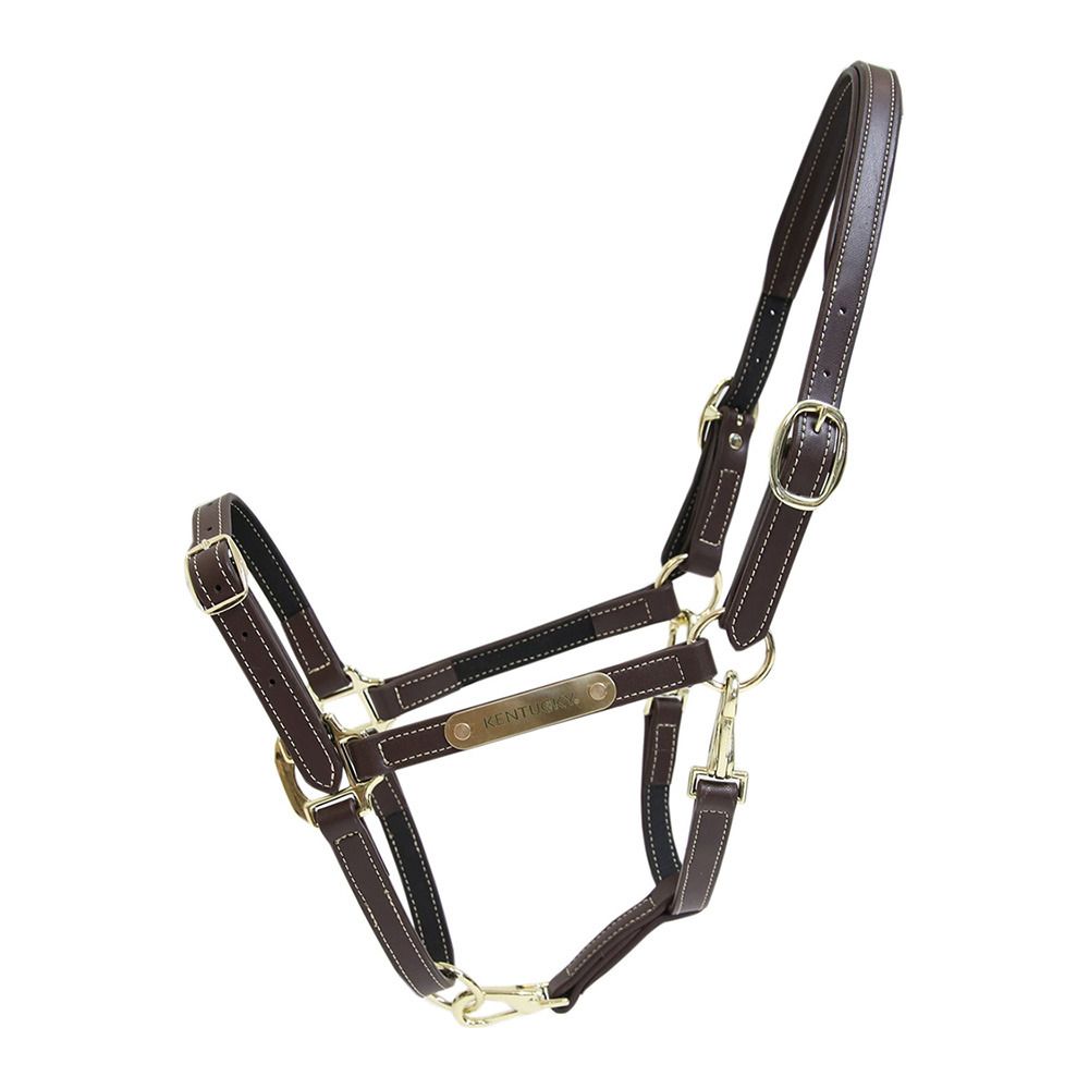 Kentucky FLEXIBLE - Licol brown