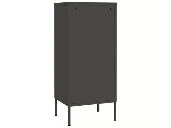 Armoire de rangement Anthracite 42,5x35x101,5 cm Acier