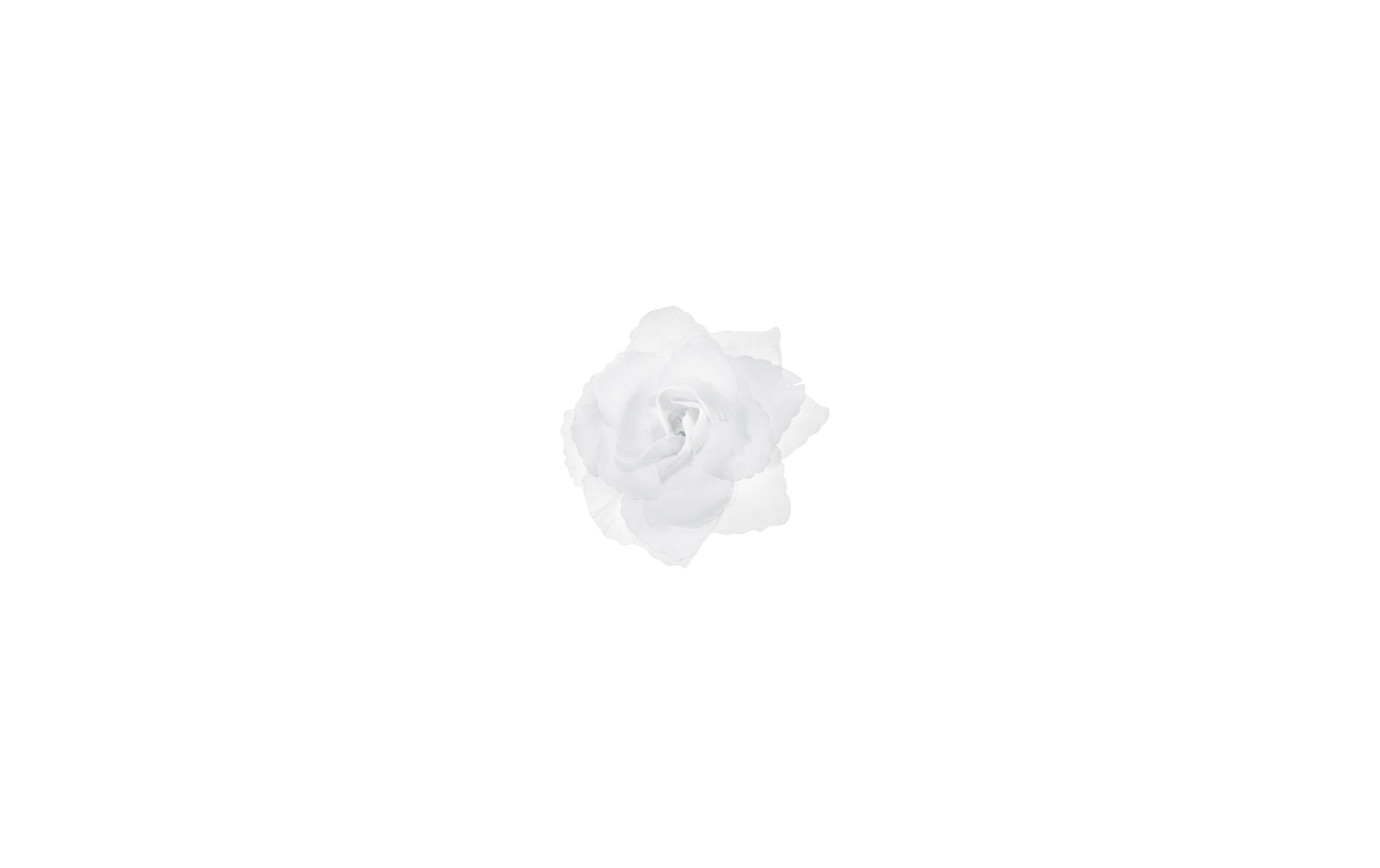Hochzeitsaccessoire Autodekoration Rose Selbstklebend WeissAutoschmuck Rose selbstklebend als Dekoration für die Hochzeit