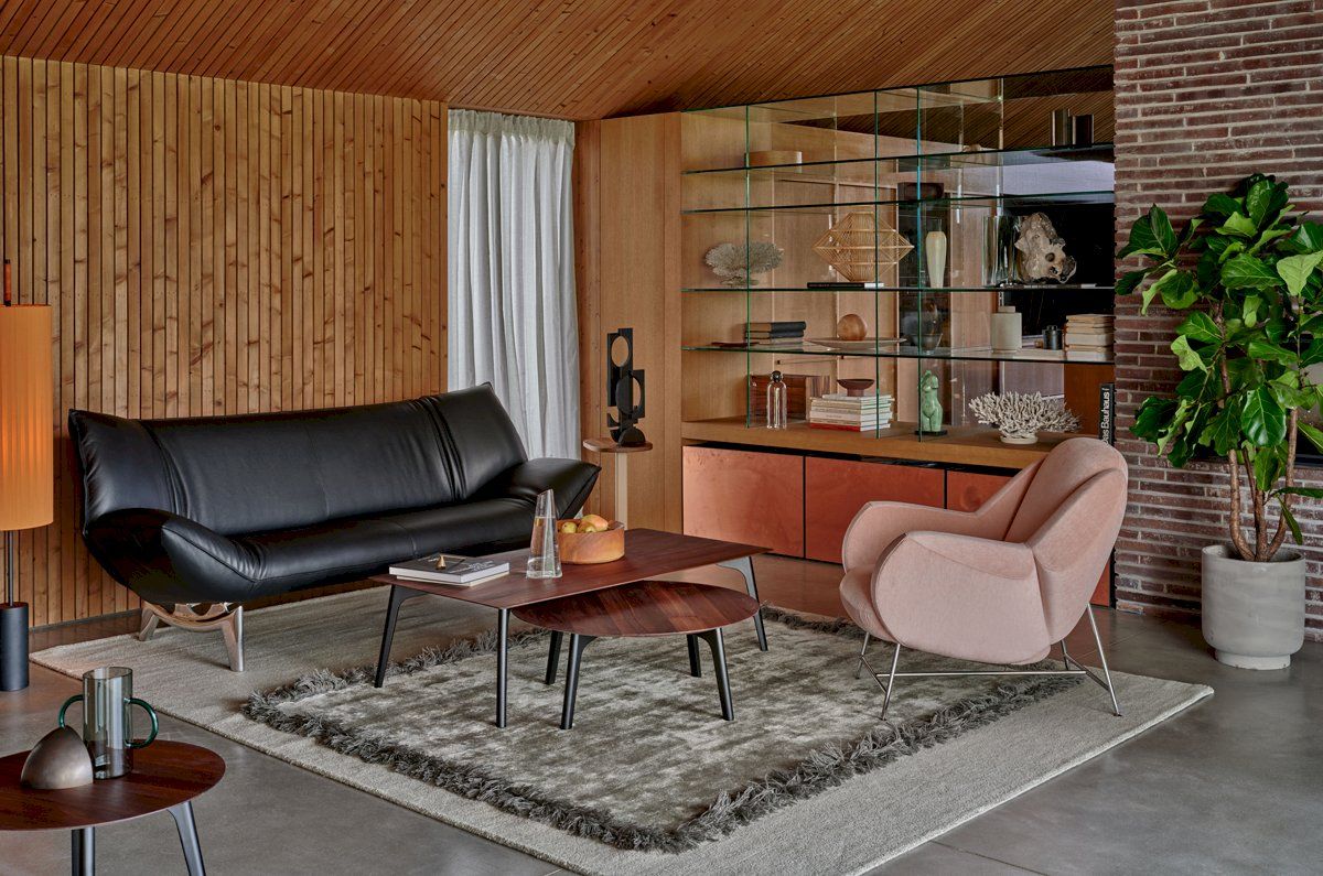 Leolux   Anton Fauteuil