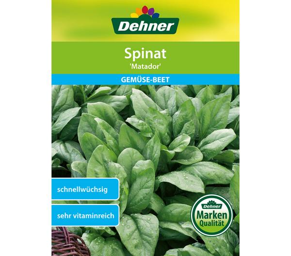 Dehner Samen Spinat 'Matador'