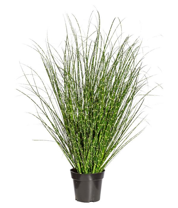 CREATIV green Kunstpflanze Grasbusch