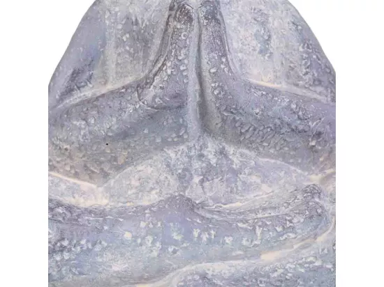 Grenouille décorative en magnésium 7,8x4,7x10,8h