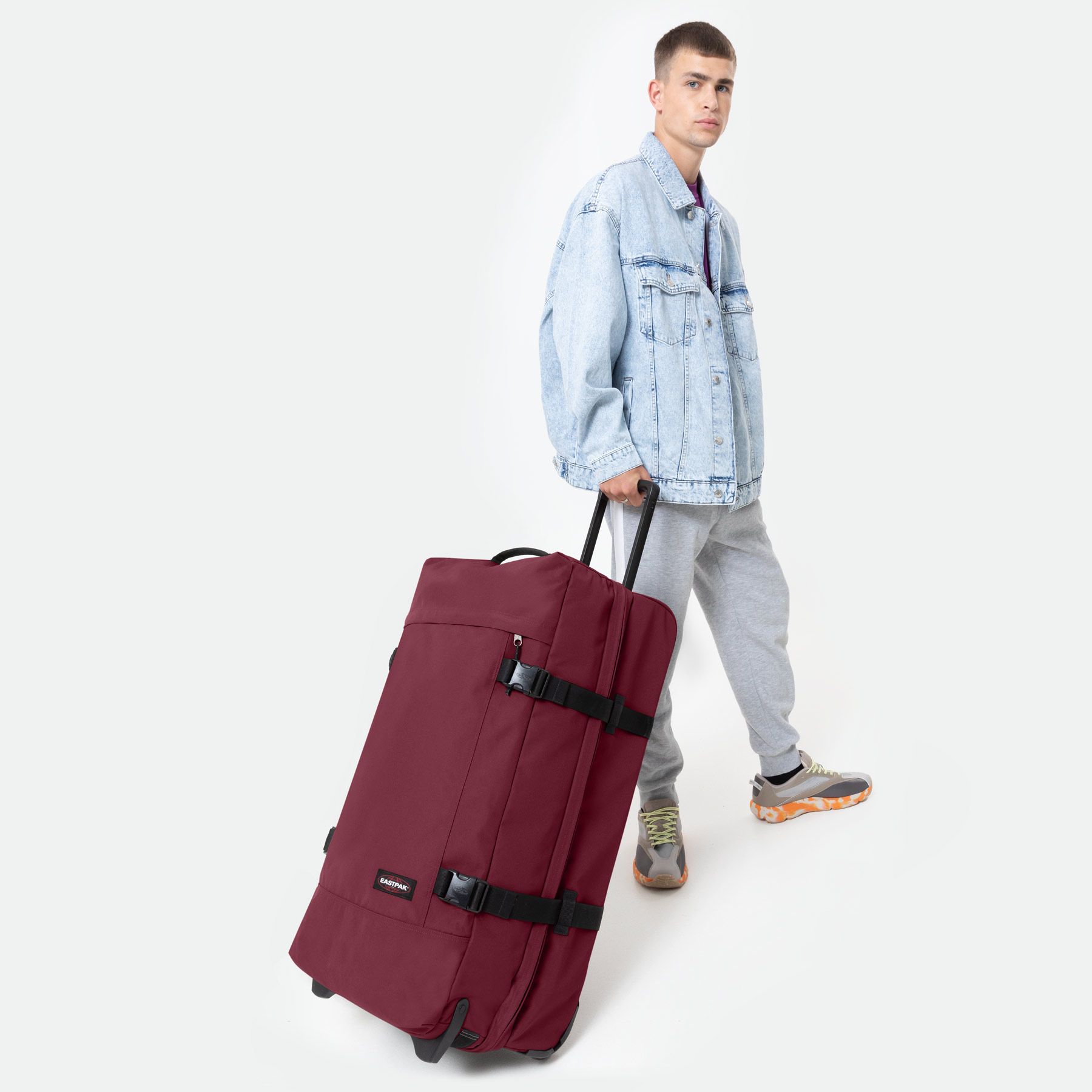 Tranverz L Bushy Burgundy
