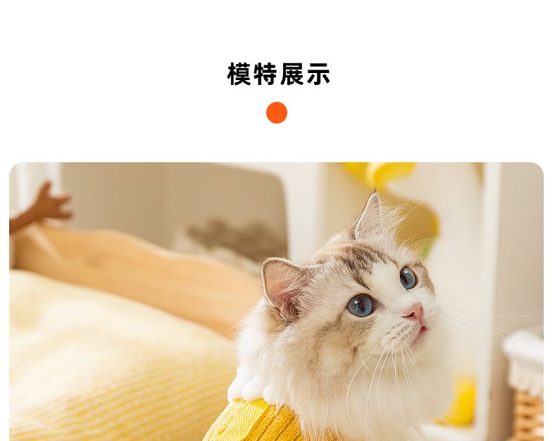 Cissilli - Letterapplicatie Coral Fleece Pet Overall