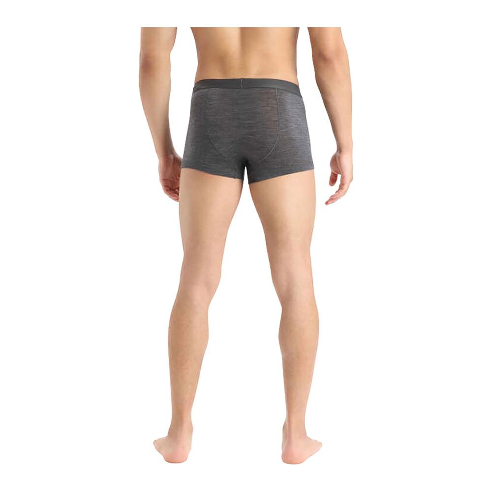 Icebreaker ANATOMICA COOL-LITE - Boxer Homme monsoon hthr