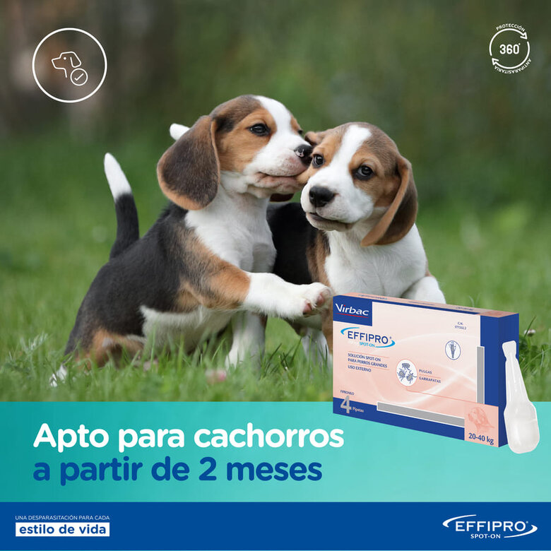Pipetas antiparasitárias Virbac Effipro para cães de 20 a 40 kg