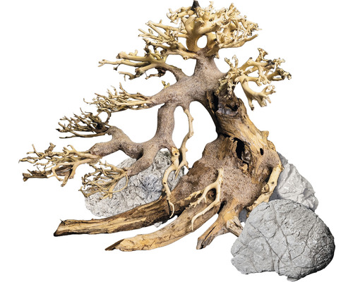 DENNERLE Decor Box Bonsai aquariumdecoratie, natuurlijke decoratieset voor aquaria, 1 x bonsaiboom ca. 20 x 15 cm + 3 x zeestenen ca. 10 x 15 cm