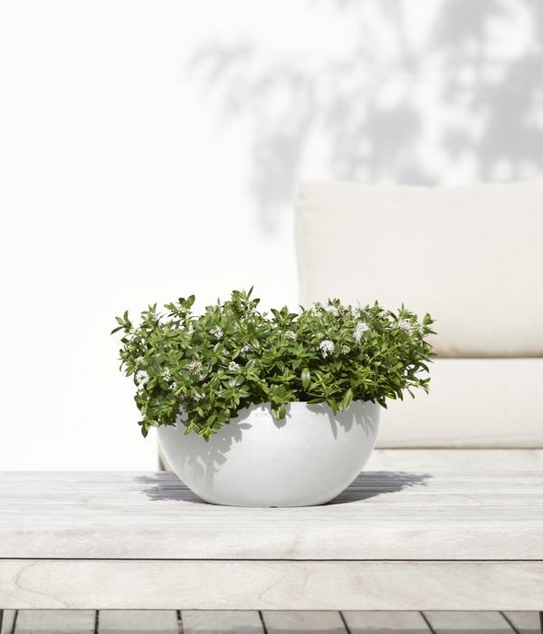 Ecopots Kunststoff-Topf Brussels, rund