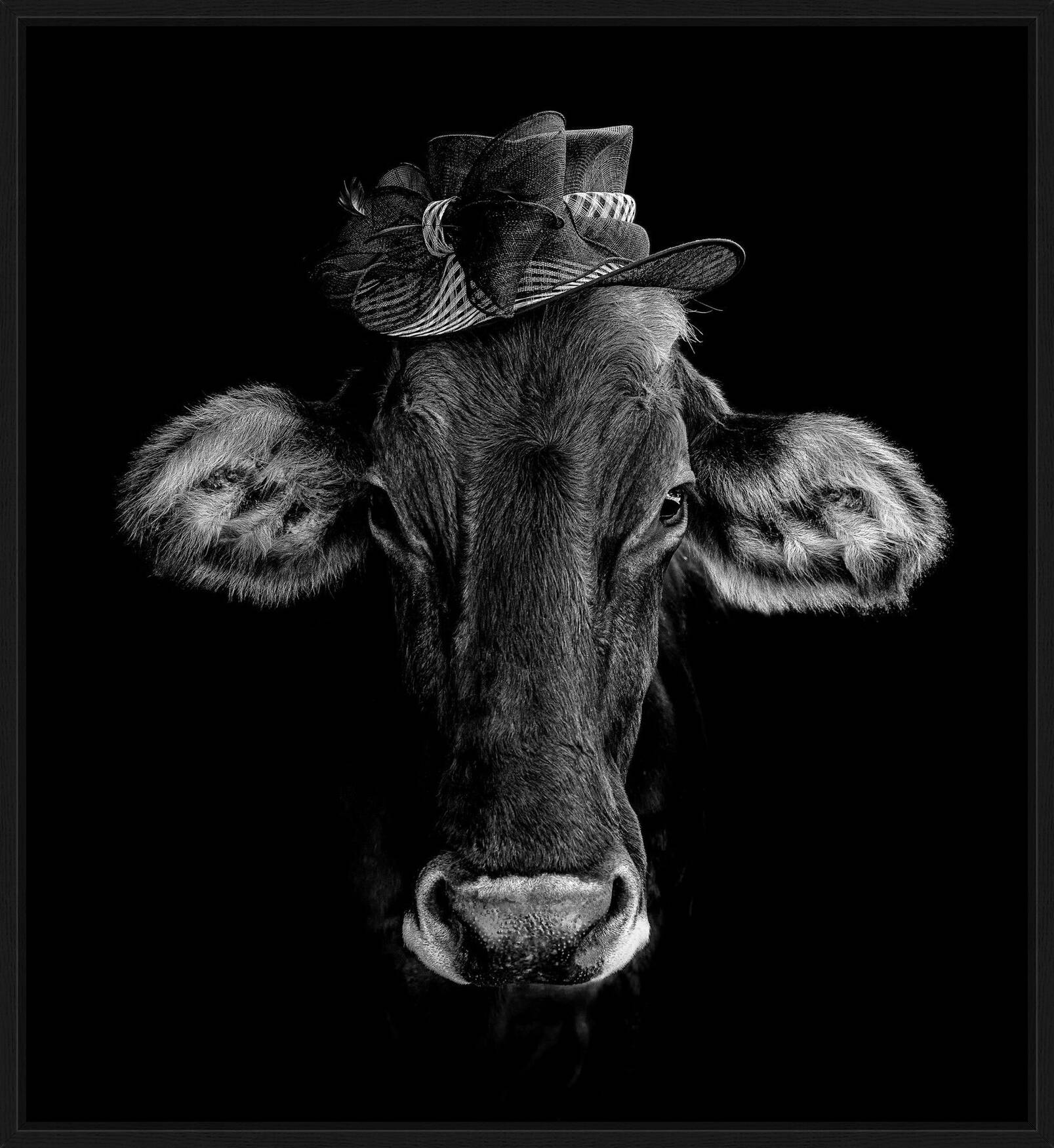 Fortuna by Claudio Gotsch - Limited Edition. Edition of: 150. Signed.