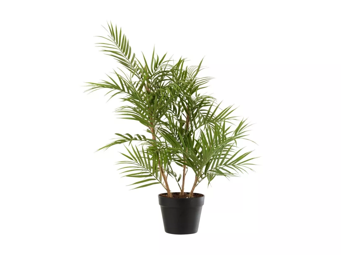 Plante Artificielle 