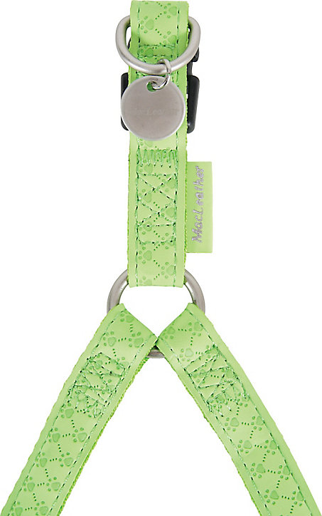 Harnais réglable Mc Leather 20mm anis