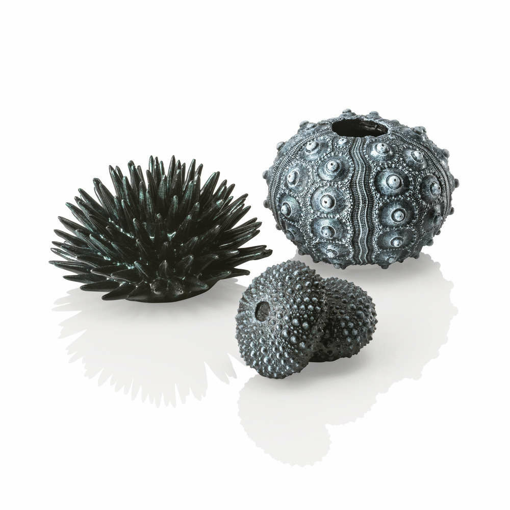 Décor biorb, pour aquarium: oursins noirs