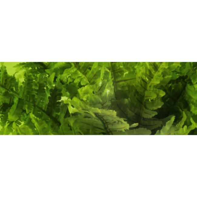 Fougère de Boston Exo Terra pour terrarium