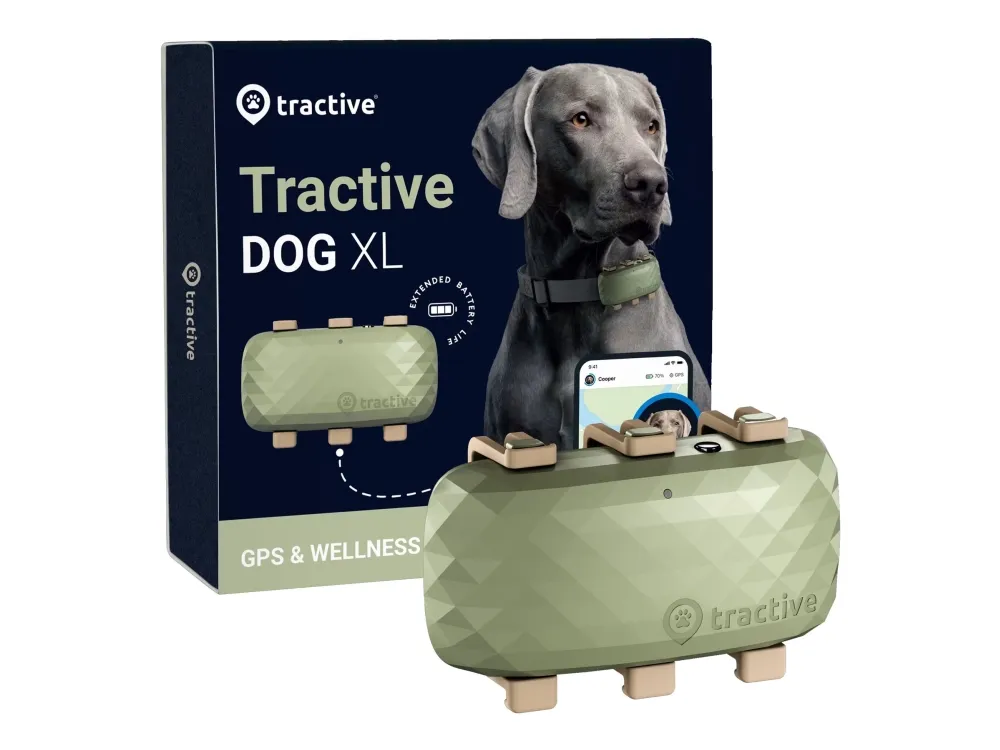 Tractive GPS DOG XL - Green - Abonnement i app