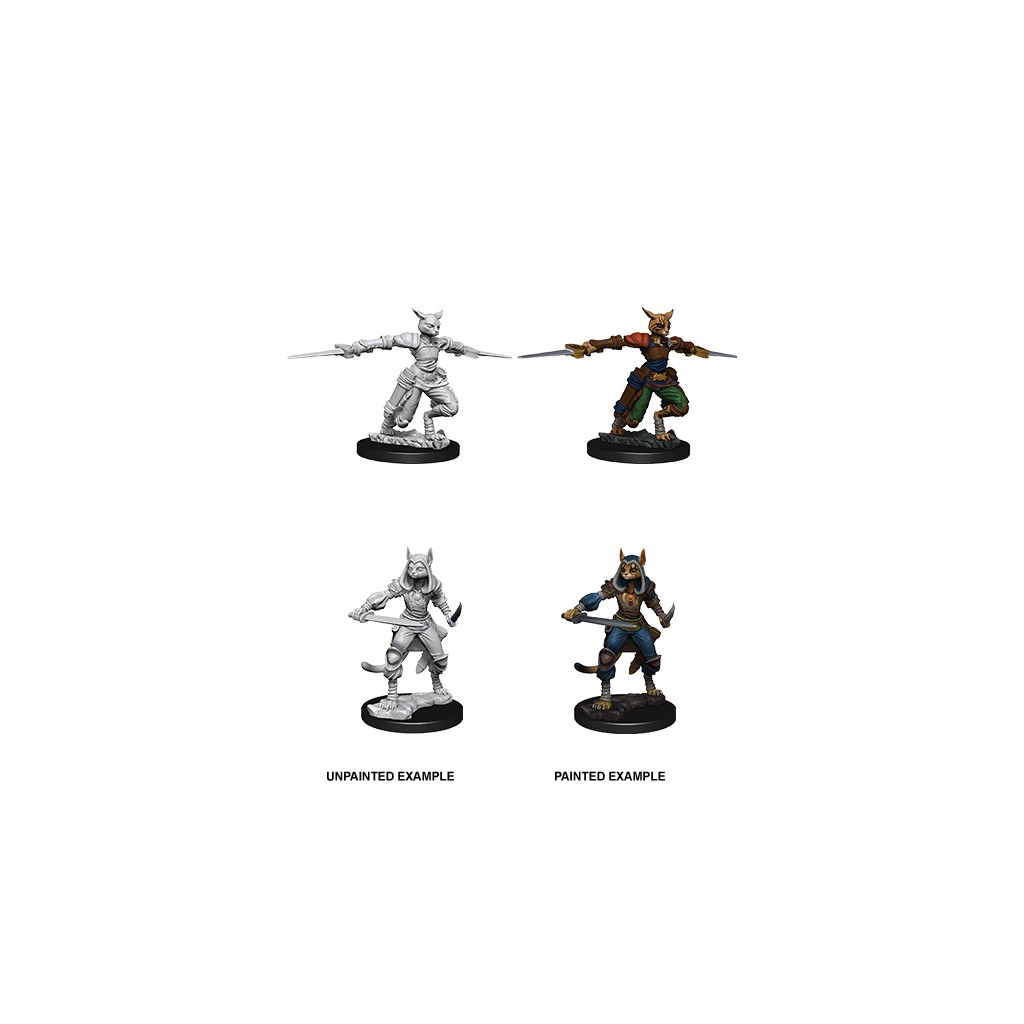 D&D Nolzur's Marvelous Unpainted Miniatures: Female Tabaxi Rogue