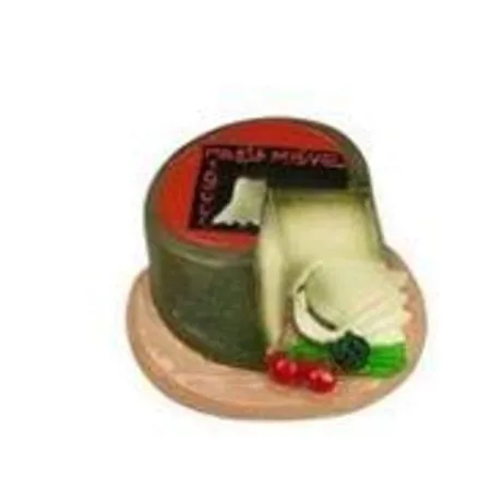 Trendhaus Cool Magnets Italian Life Style, 8-Fach sortiert