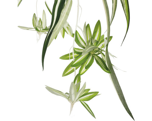 Kunstspinnenplant Chlorophytum Ø 45 H 30 cm groen