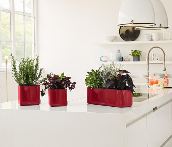 LECHUZA® CUBE Glossy Triple, All-in-One Set,