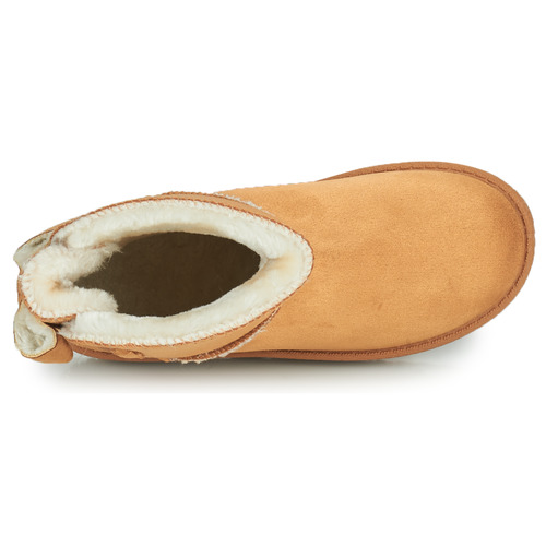 Citrouille et Compagnie - NOCHO - Camel
