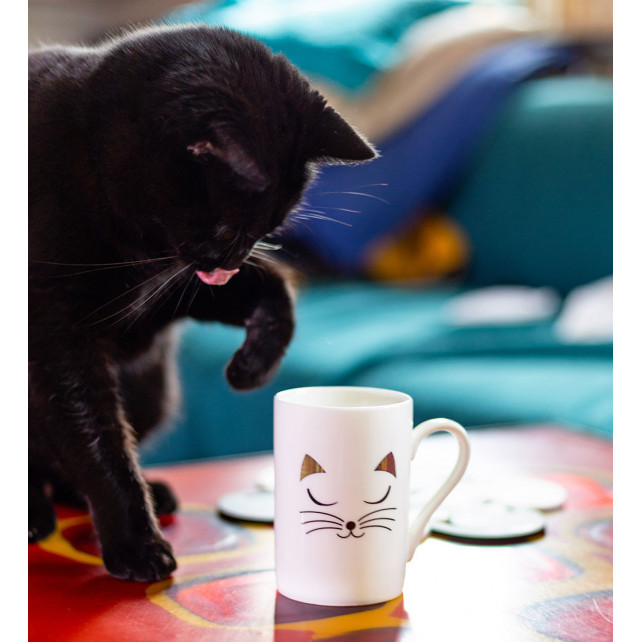Mug 30 cl - Schluck
