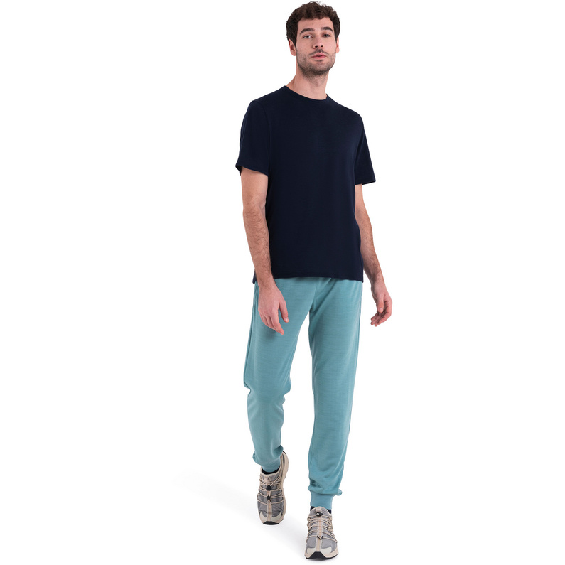 Icebreaker Herren Shifter II Hose