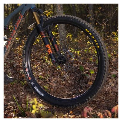 Roue Avant Stan's Arch S2 29'' | Boost 15x110 mm | 6 Trous