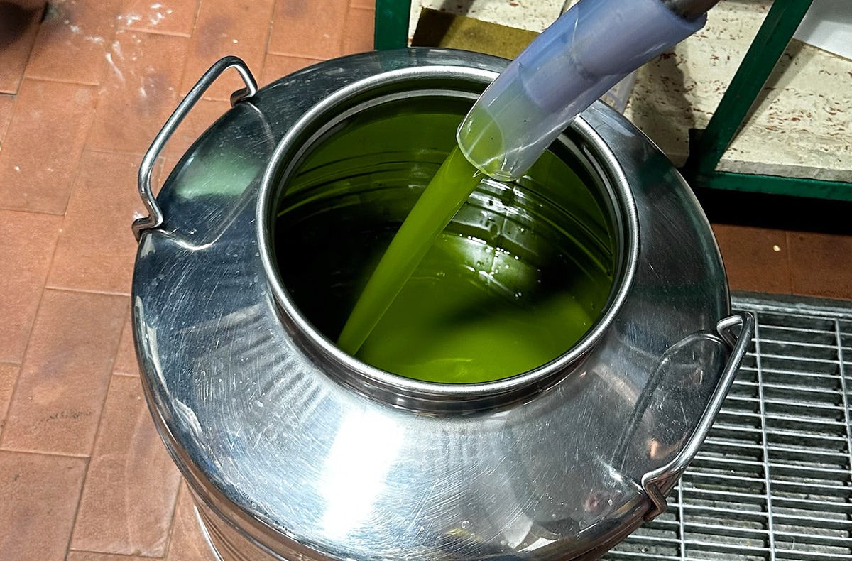 Olivenernte in Sizilien für 2 (3 Nächte)